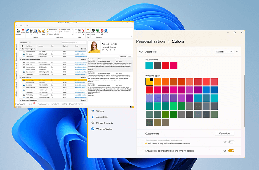 Windows 11 System Accent Color - WPF Controls, DevExpress