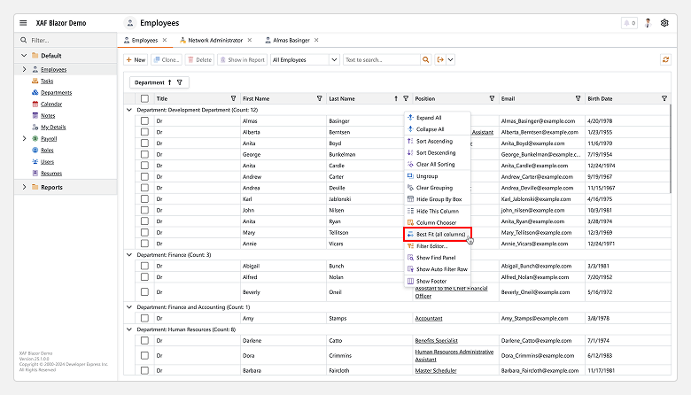 The Best Fit menu item - XAF for Blazor, DevExpress